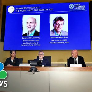 Nobel Prize For Chemistry Awarded For Development Of Tool To Build Molecules