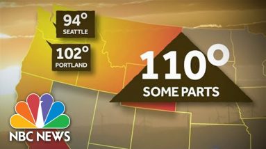 Heat Wave In The Pacific Northwest Brings Record Temperatures